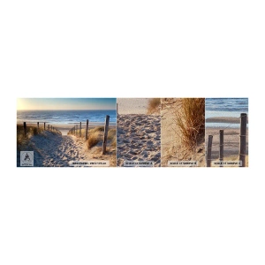 Campione di Fotomurale Premium Sand - Rumore del mare, uccelli che cantano, spiaggia selvatica tra i cespugli... - Paesaggio, Spiaggia, Dune - 100x30 cm