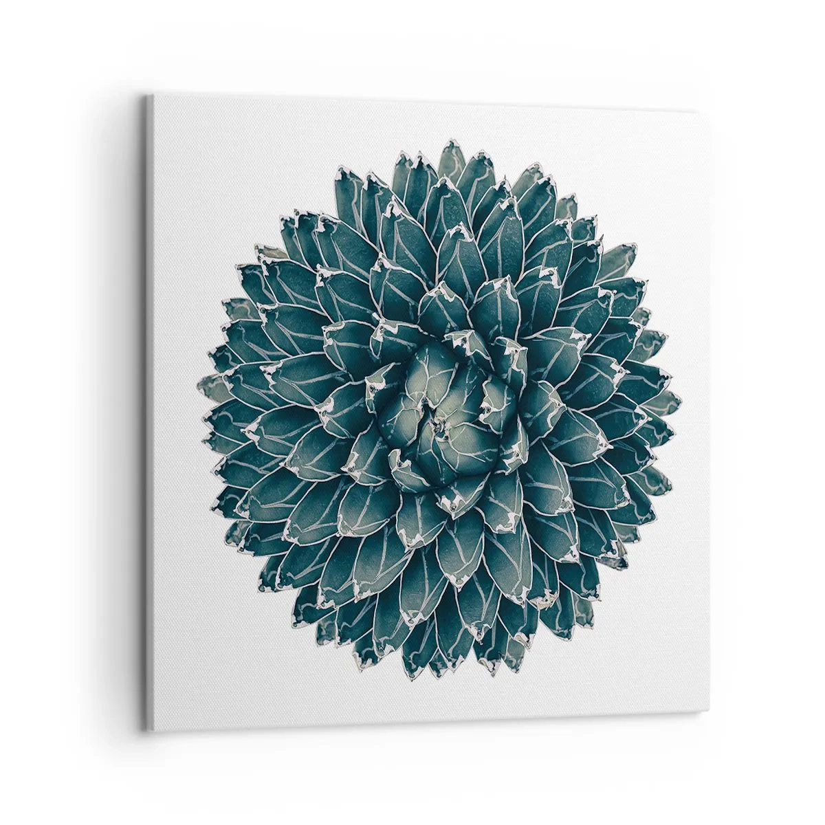 Quadro su tela - Stampe su Tela - La stella del deserto - 50x50 cm