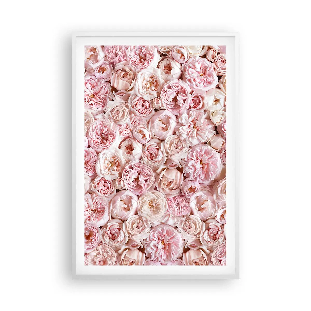 Poster in cornice bianca - Coperto di rose - 61x91 cm