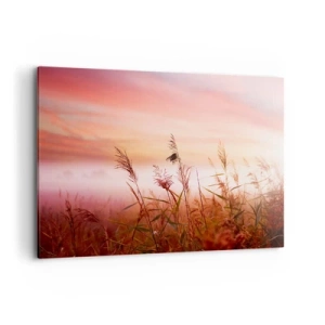 Quadro su tela - Stampe su Tela - Un campo d'erba sullo sfondo di un pittoresco tramonto - 100x70cm - Aquiloni, denti di leone, vento - Decorazione murale moderna per soggiorno e camera da letto ARTTOR