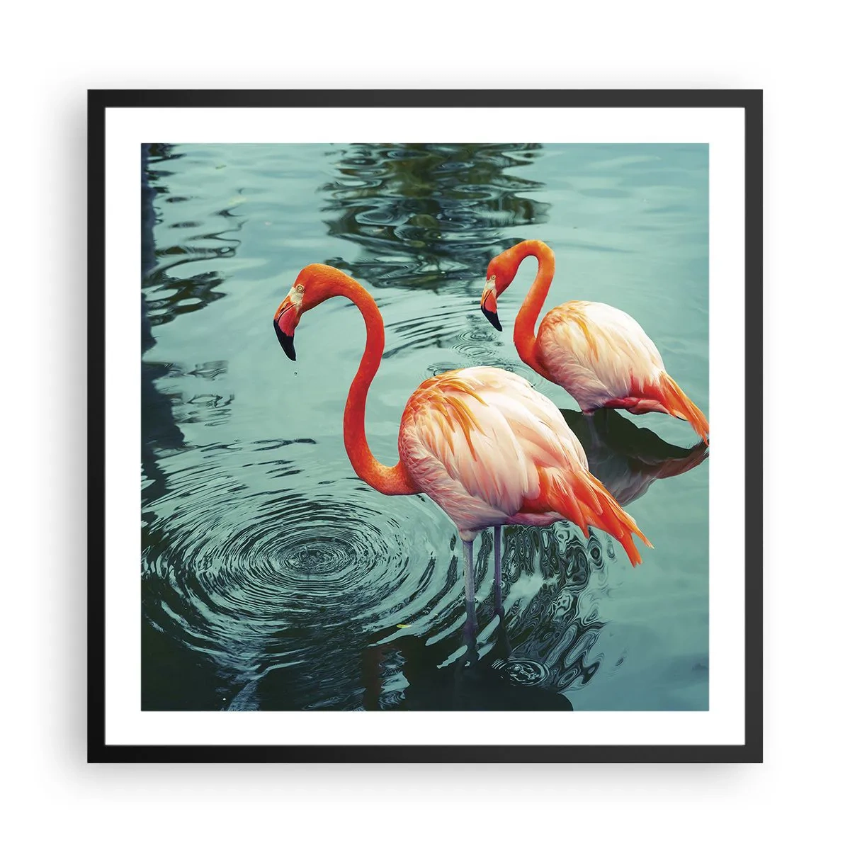 Poster in cornice nera - Adesso siamo di moda - 60x60 cm
