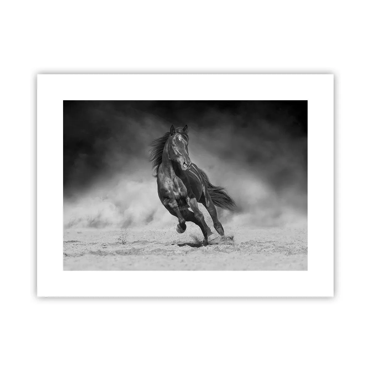 Poster - Degno dell'emiro - 40x30 cm