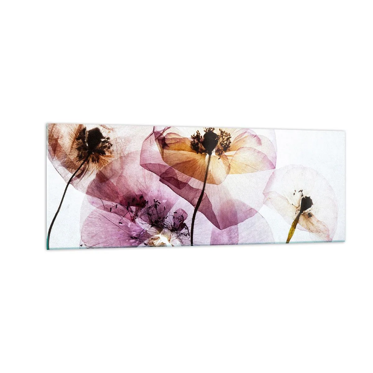 Quadro su vetro - Delicati fiori trasparenti in tonalità pastello - 140x50cm - Fiori trasparenti - Decorazione murale moderna per soggiorno e camera da letto ARTTOR