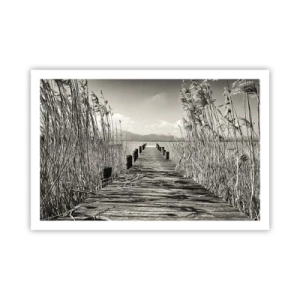 Poster - Nel silenzio dell'erba - 91x61 cm