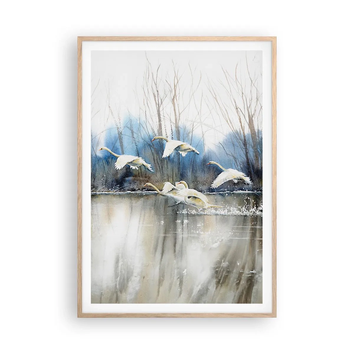 Poster in cornice rovere chiaro - Come la favola dei cigni selvatici - 70x100 cm