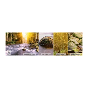 Campione di Fotomurale Premium Canvas - Malachite in cornice oro-argento - Paesaggio, Ruscello di montagna, foresta - 100x30 cm