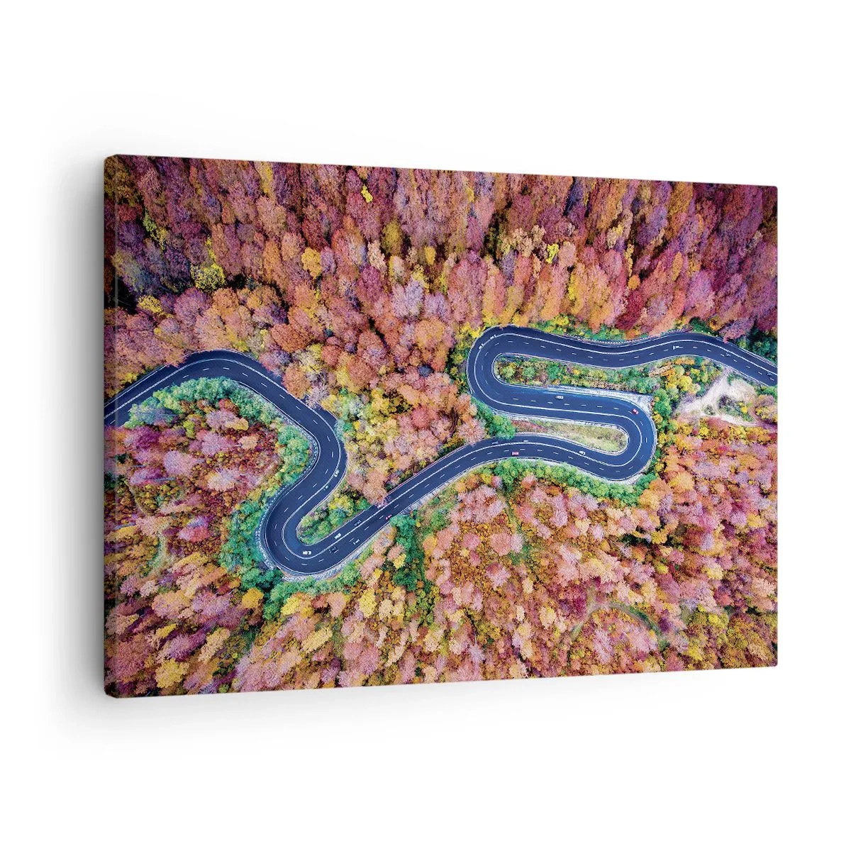 Quadro su tela - Stampe su Tela - Una strada tortuosa in una foresta autunnale vista a volo d'uccello - 70x50cm - Via tortuosa attraverso il bosco - Decorazione murale moderna per soggiorno e camera da letto ARTTOR