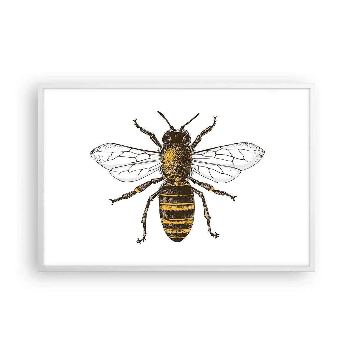 Poster in cornice bianca - Bella e buona - 91x61 cm