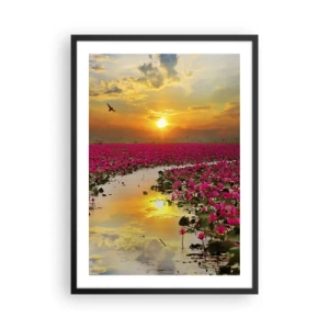 Poster in cornice nera - Un campo di ninfee rosa al tramonto - 50x70cm - La vita segreta del lago - Decorazione murale moderna per soggiorno e camera da letto ARTTOR