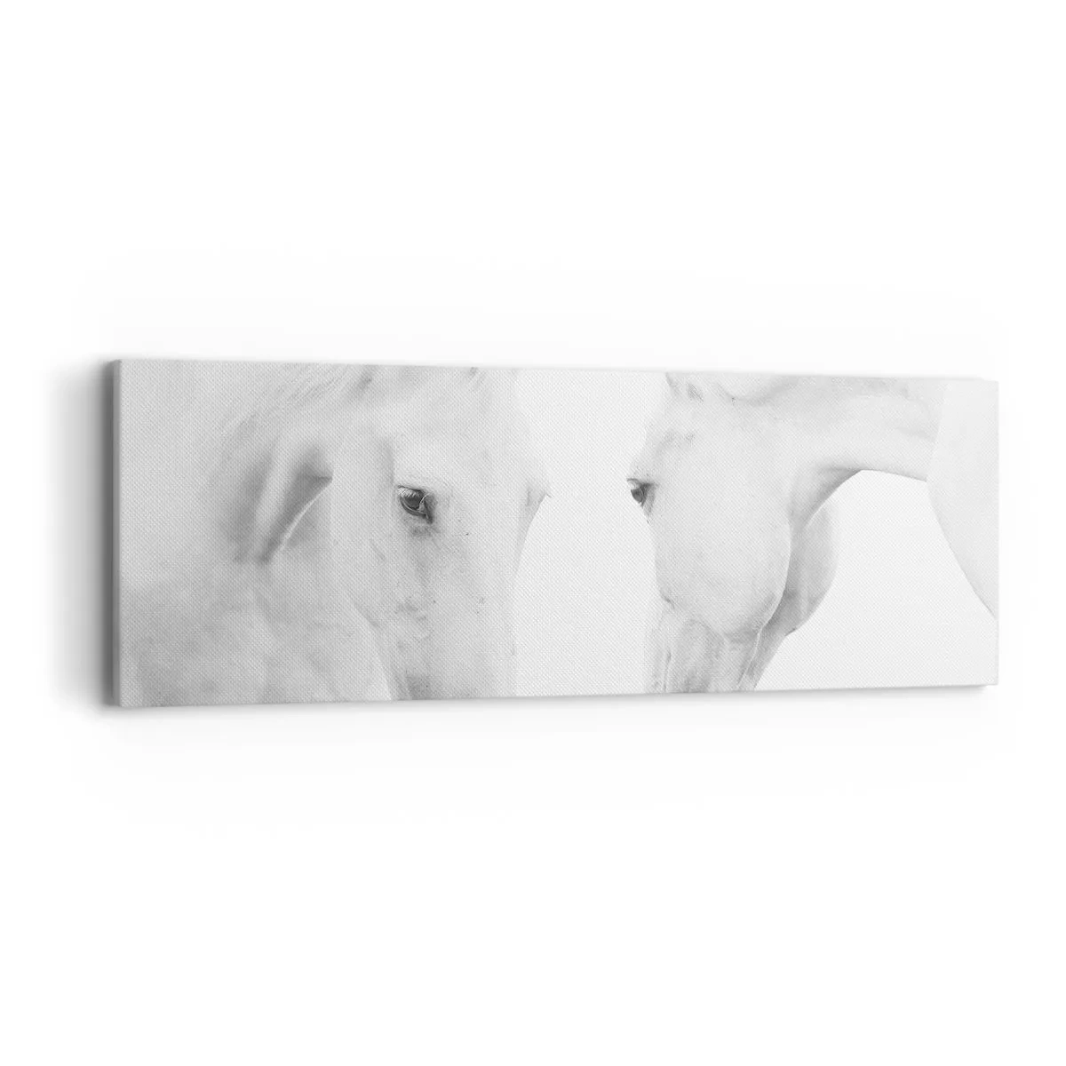 Quadro su tela - Stampe su Tela - È amicizia? - 90x30 cm