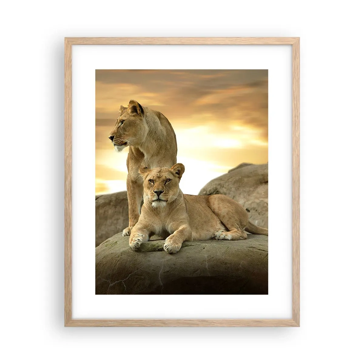 Poster in cornice rovere chiaro - Maestà reale - 40x50 cm