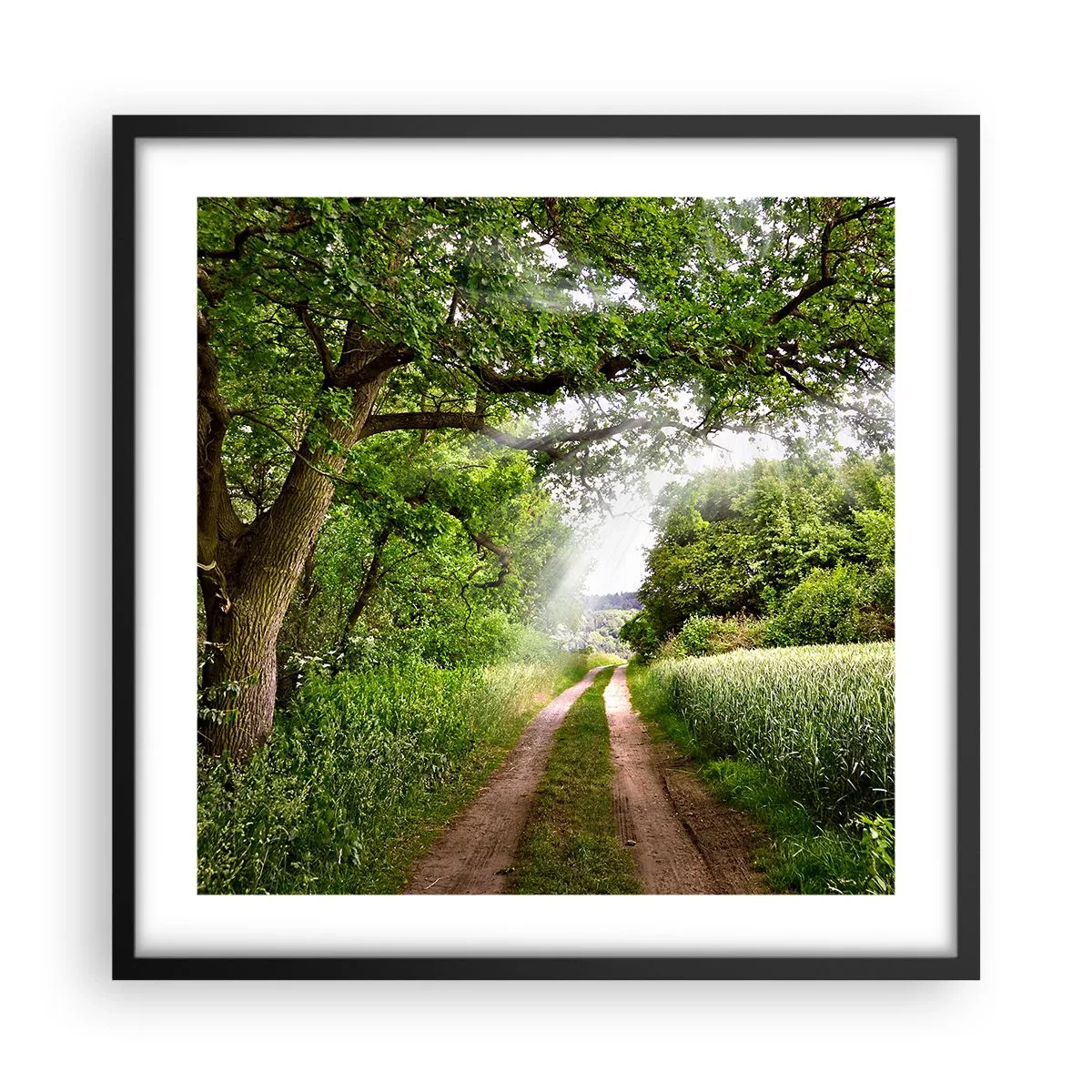 Poster in cornice nera - Et in Arcadia ego - 50x50 cm