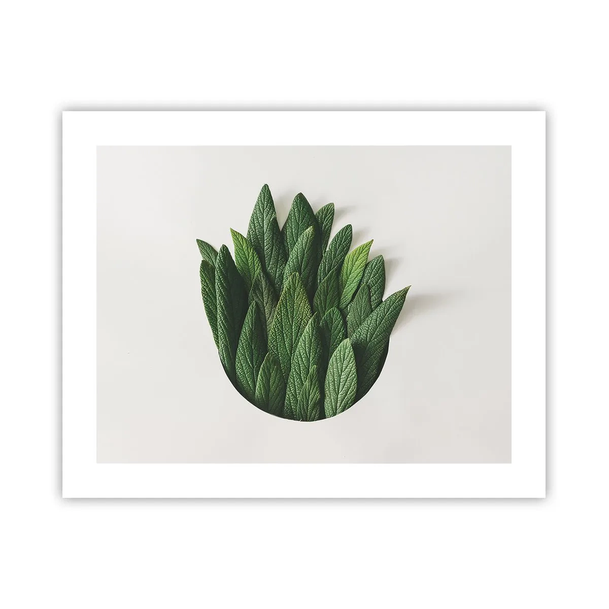 Poster - Curiosità irrefrenabile - 50x40 cm