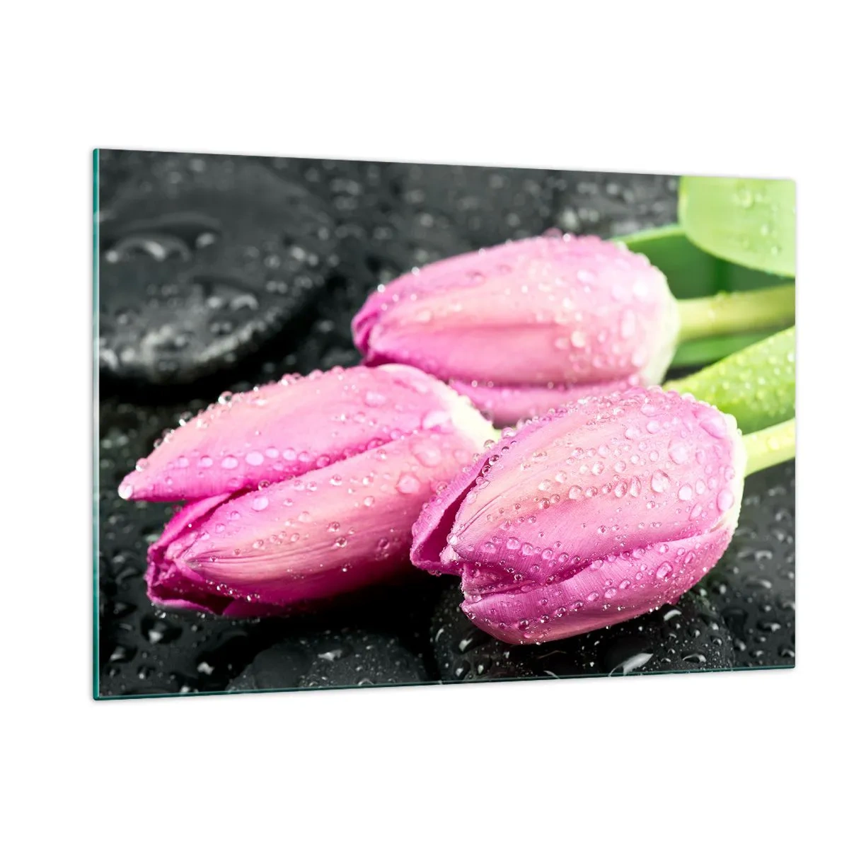 Quadro su vetro - Tre tulipani rosa ricoperti di gocce d'acqua su uno sfondo nero. - 120x80cm - Una terna lilla su pietra nera - Decorazione murale moderna per soggiorno e camera da letto ARTTOR
