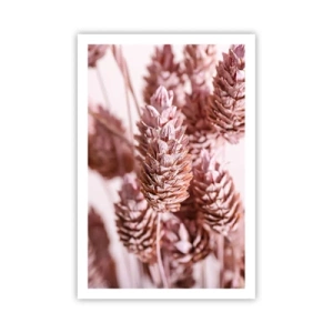 Poster - A prima vista poco appariscenti - 61x91 cm