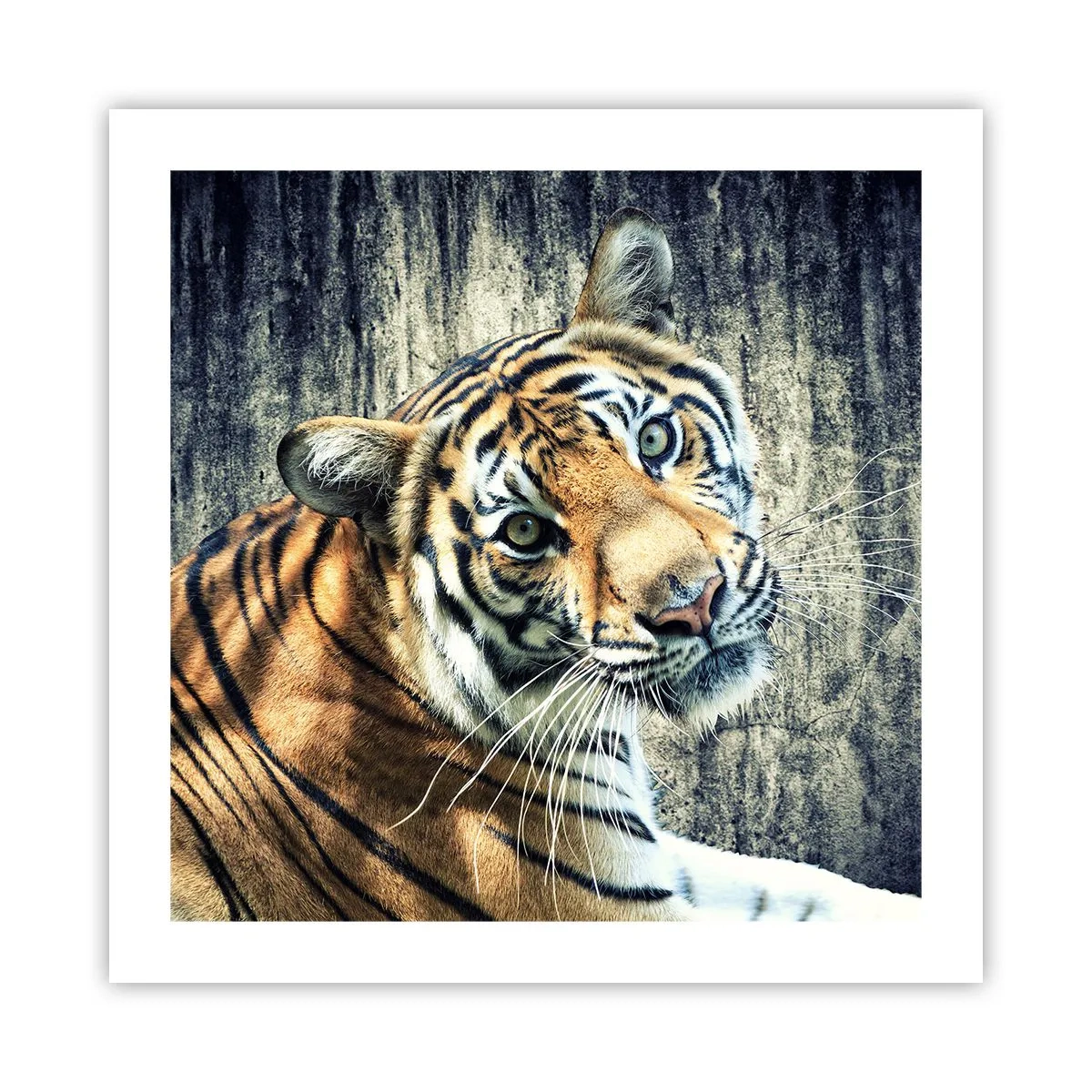 Poster - Ritratto nei flussi di luce - 50x50 cm