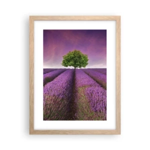 Poster in cornice rovere chiaro - Sui campi di lavanda - 30x40 cm