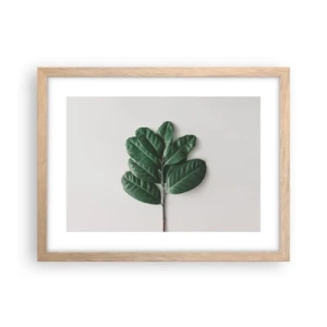 Poster in cornice rovere chiaro - Il disegno della natura stessa - 40x30 cm