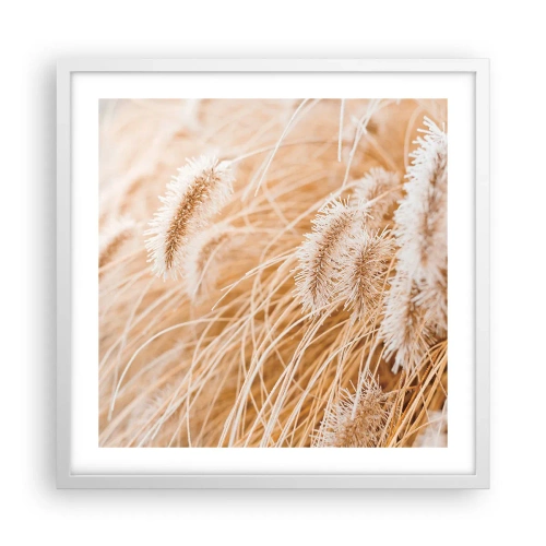 Poster in cornice bianca - Il fruscio dorato dell'erba - 50x50 cm