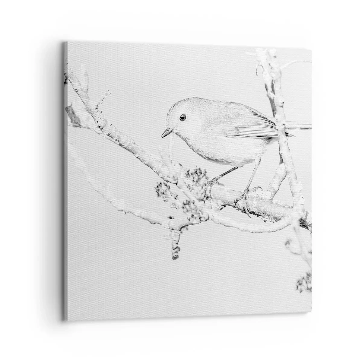 Quadro su tela - Stampe su Tela - Mattino invernale - 60x60 cm