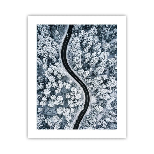 Poster - Attraverso il bosco invernale - 40x50 cm