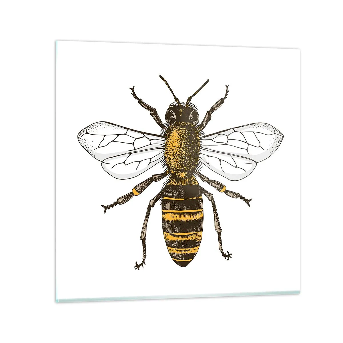 Quadro su vetro - Bella e buona - 70x70 cm