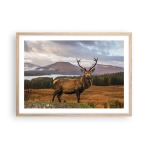 Poster in cornice rovere chiaro - Maestà della natura - 70x50 cm