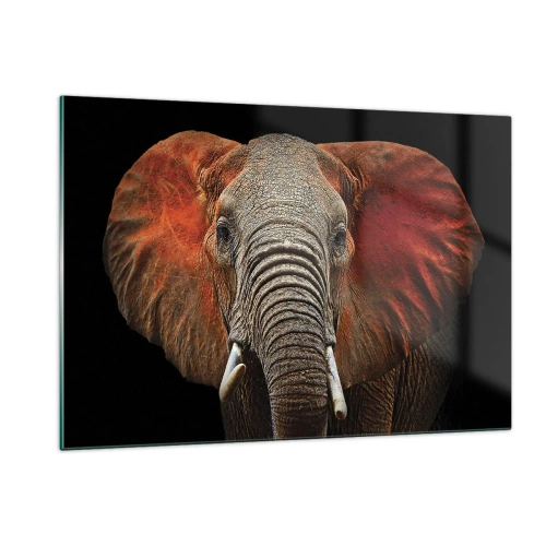 Quadro su vetro - Ritratto di un maestoso elefante su sfondo nero - 120x80cm - Sono selvaggio e tu? - Decorazione murale moderna per soggiorno e camera da letto ARTTOR