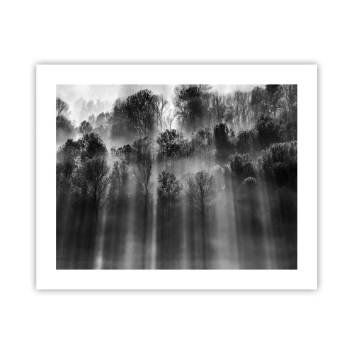 Poster - Nei getti di luce - 50x40 cm