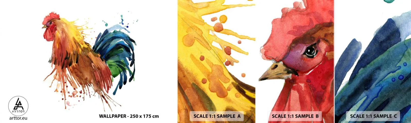 Campione Di Fotomurale Standard Eco - Abito reale, orgoglio reale - Cazzo, Grafica, Allevamento - 100x30 cm