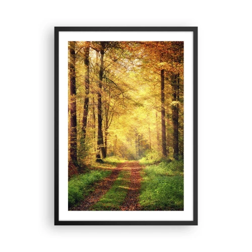 Poster in cornice nera - Un sentiero nel bosco alla luce del sole dorato autunnale - 50x70cm - Il silenzio d'oro del bosco - Decorazione murale moderna per soggiorno e camera da letto ARTTOR