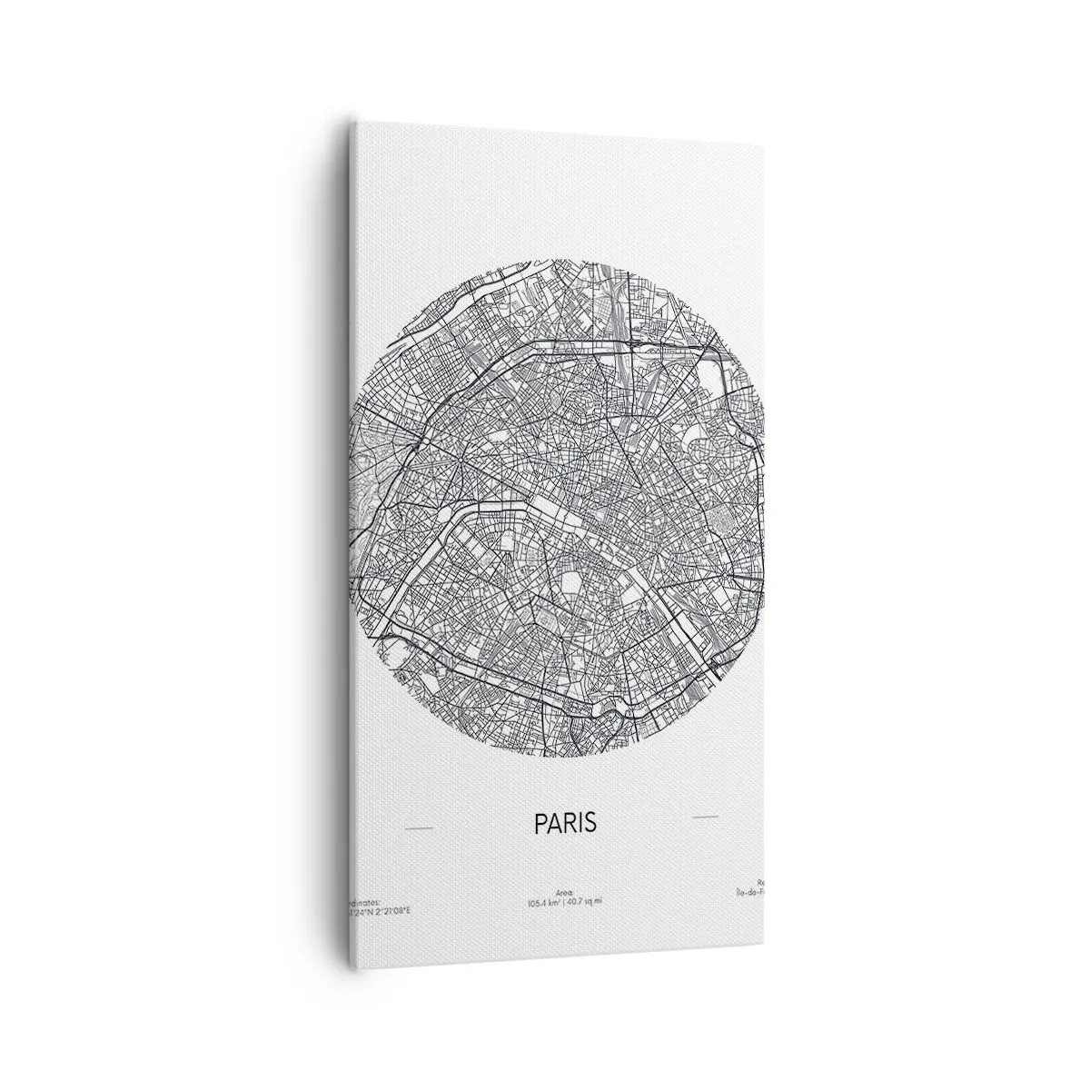 Quadro su tela - Stampe su Tela - Anatomia di Parigi - 55x100 cm