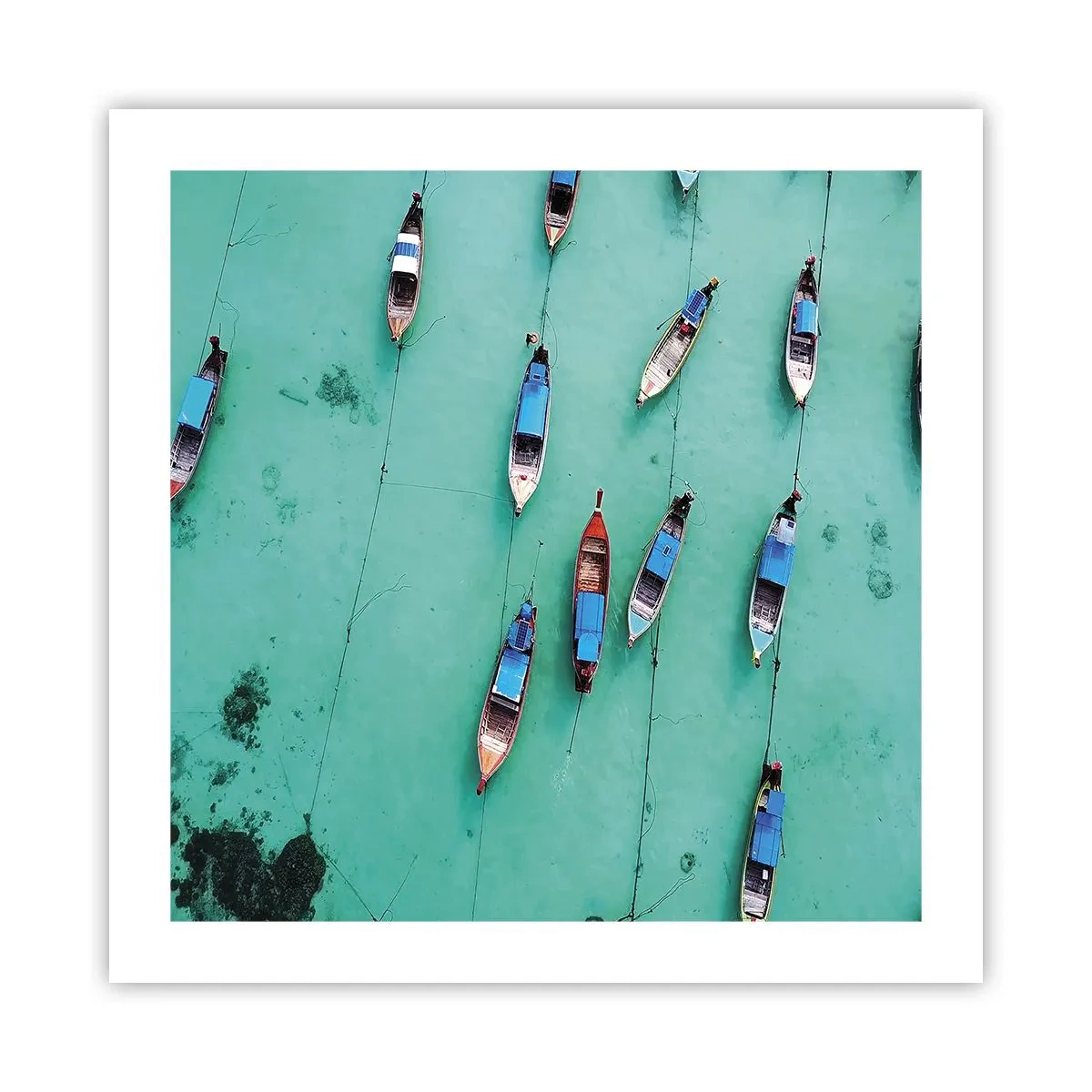 Poster - In gioiosa attesa - 50x50 cm