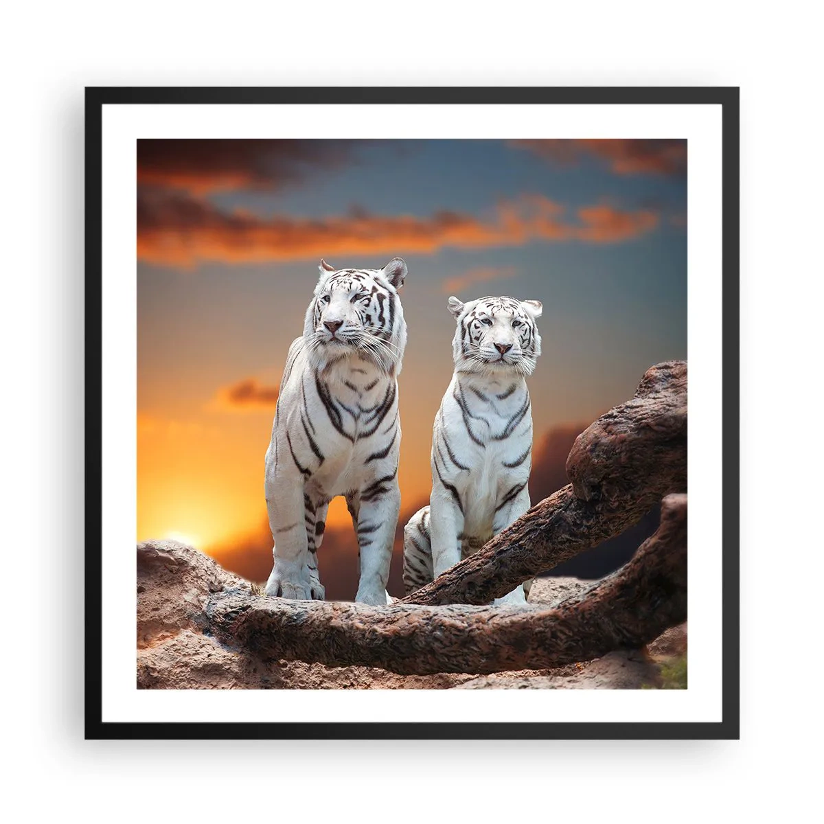 Poster in cornice nera - Proprio come a Narnia - 60x60 cm