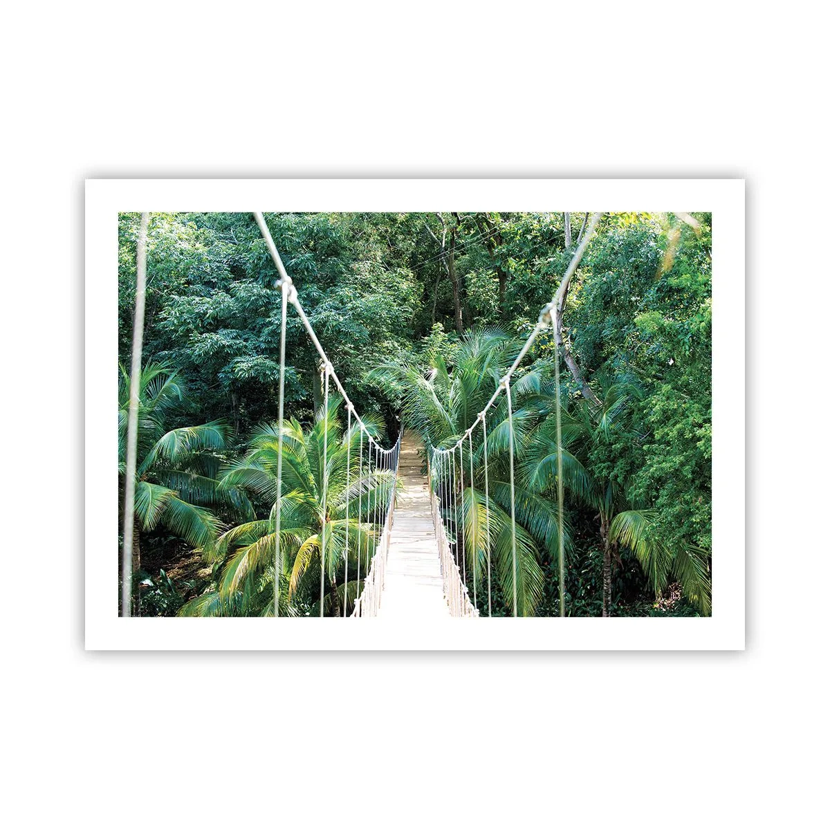 Poster - Welcome to the jungle! - 70x50 cm