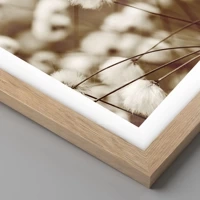 Rovere chiaro