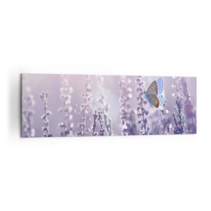 Quadro su tela - Stampe su Tela - Una farfalla sulla lavanda in fiore nella luce del mattino - 160x50cm - Il bacio della farfalla - Decorazione murale moderna per soggiorno e camera da letto ARTTOR