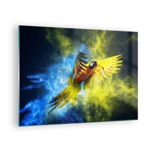 Quadro su vetro - Un pappagallo colorato in volo su uno sfondo giallo e blu - 70x50cm - Nella polvere gialla e blu - Decorazione murale moderna per soggiorno e camera da letto ARTTOR