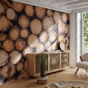Fotomurali Premium Sand - Tronchi d'albero disposti in sezione trasversale - 100x70cm - Nuovo inizio - Decorazione murale moderna per soggiorno e camera da letto ARTTOR