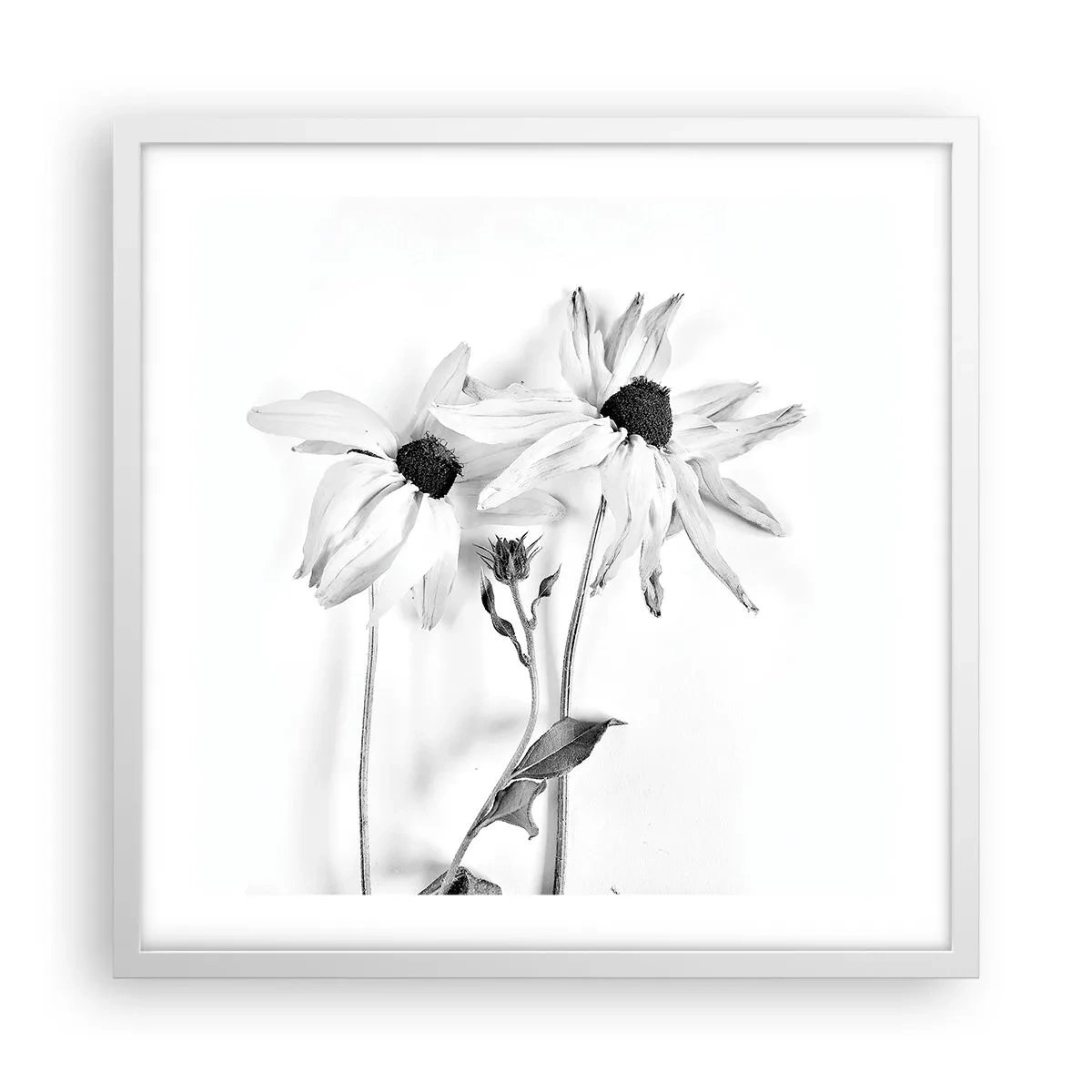 Poster in cornice bianca - Nessuno vuole essere solo - 50x50 cm