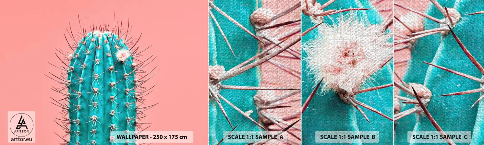 Campione di Fotomurale Premium Canvas - Stai attento - Cactus, Pastello, Minimalismo - 100x30 cm