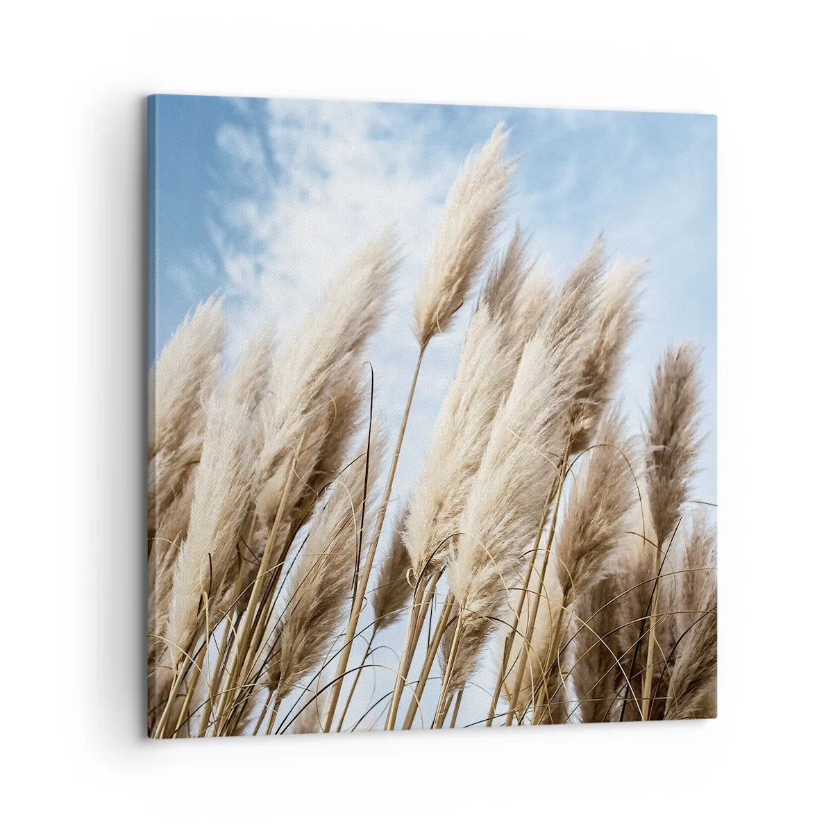 Quadro su tela - Stampe su Tela - Le carezze del sole e del vento - 60x60 cm