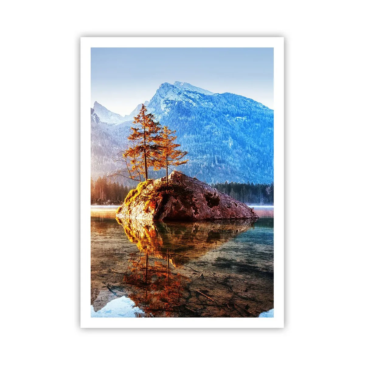 Poster - La natura in una nuova luce - 70x100 cm