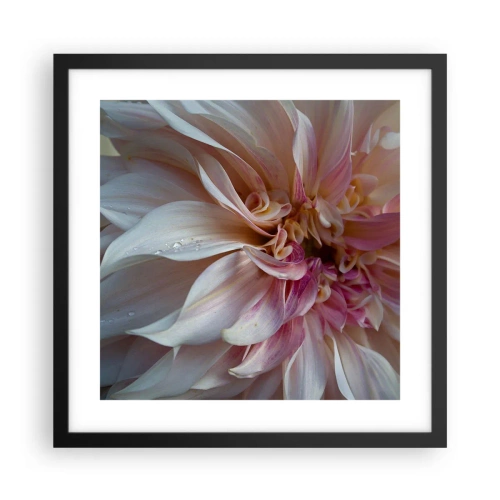 Poster in cornice nera - Freschezza in fiore - 40x40 cm