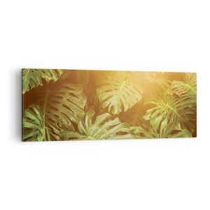 Quadro su tela - Stampe su Tela - Foglie di Monstera alla luce del sole su uno sfondo naturale - 140x50cm - Entrando nel verde... - Decorazione murale moderna per soggiorno e camera da letto ARTTOR