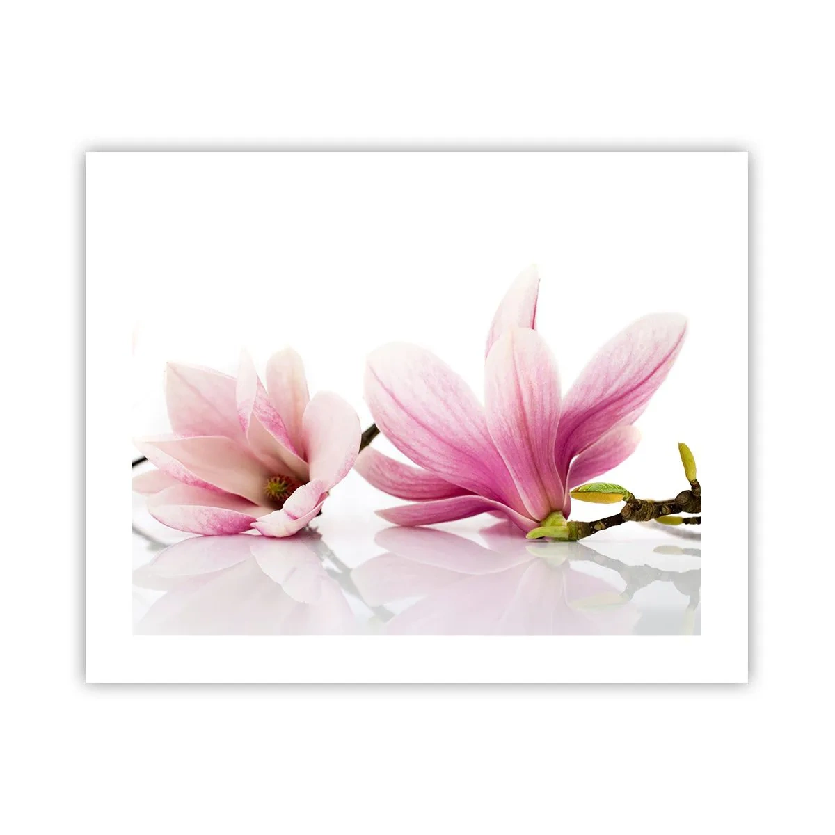 Poster - Delicati come un soffio di primavera - 50x40 cm