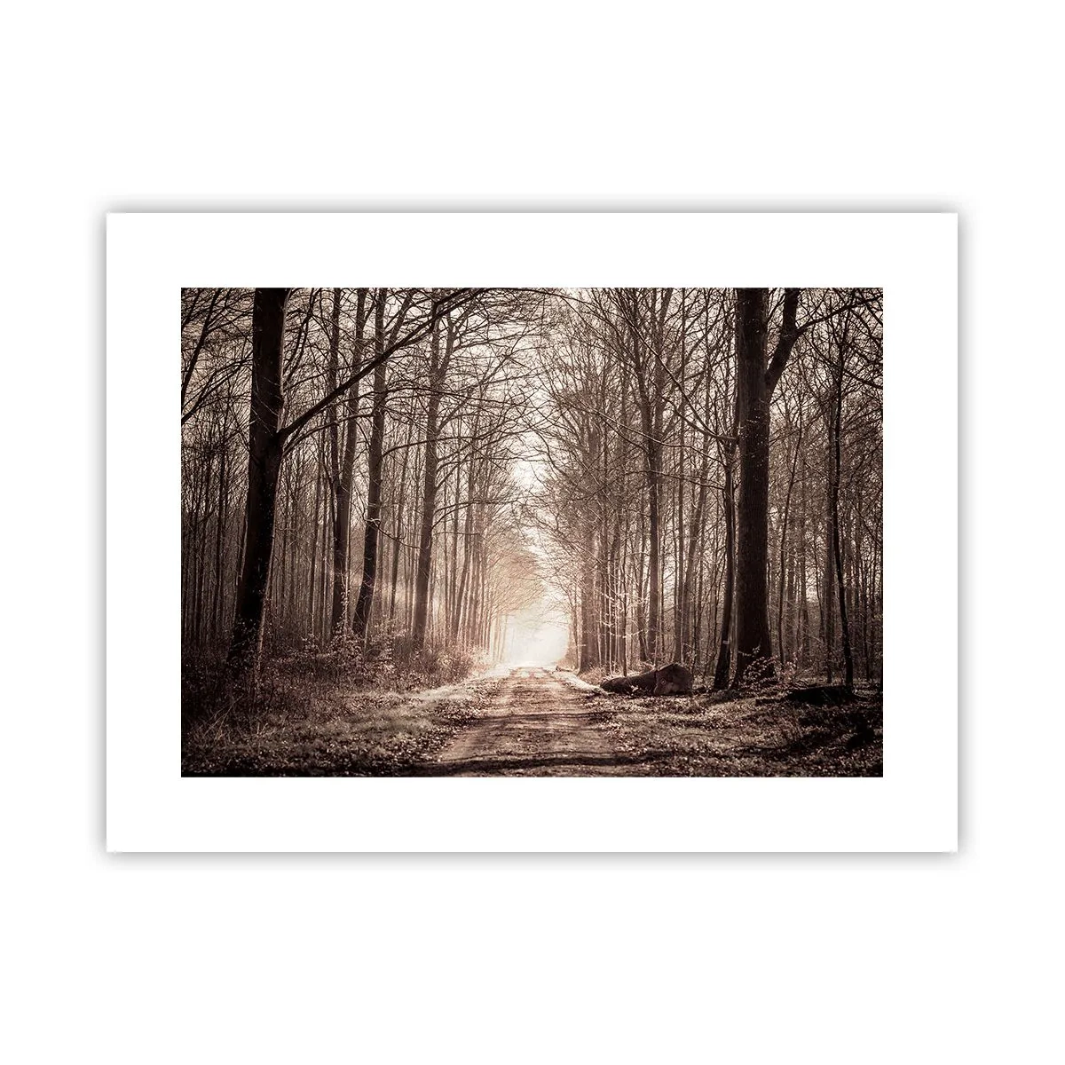Poster - La cattedrale del bosco - 40x30 cm