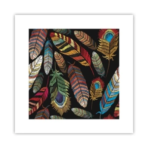 Poster - Il carnevale degli uccelli - 30x30 cm