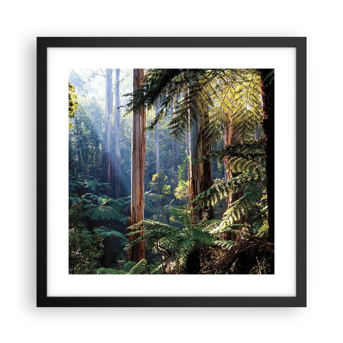 Poster in cornice nera - La favola del bosco - 40x40 cm