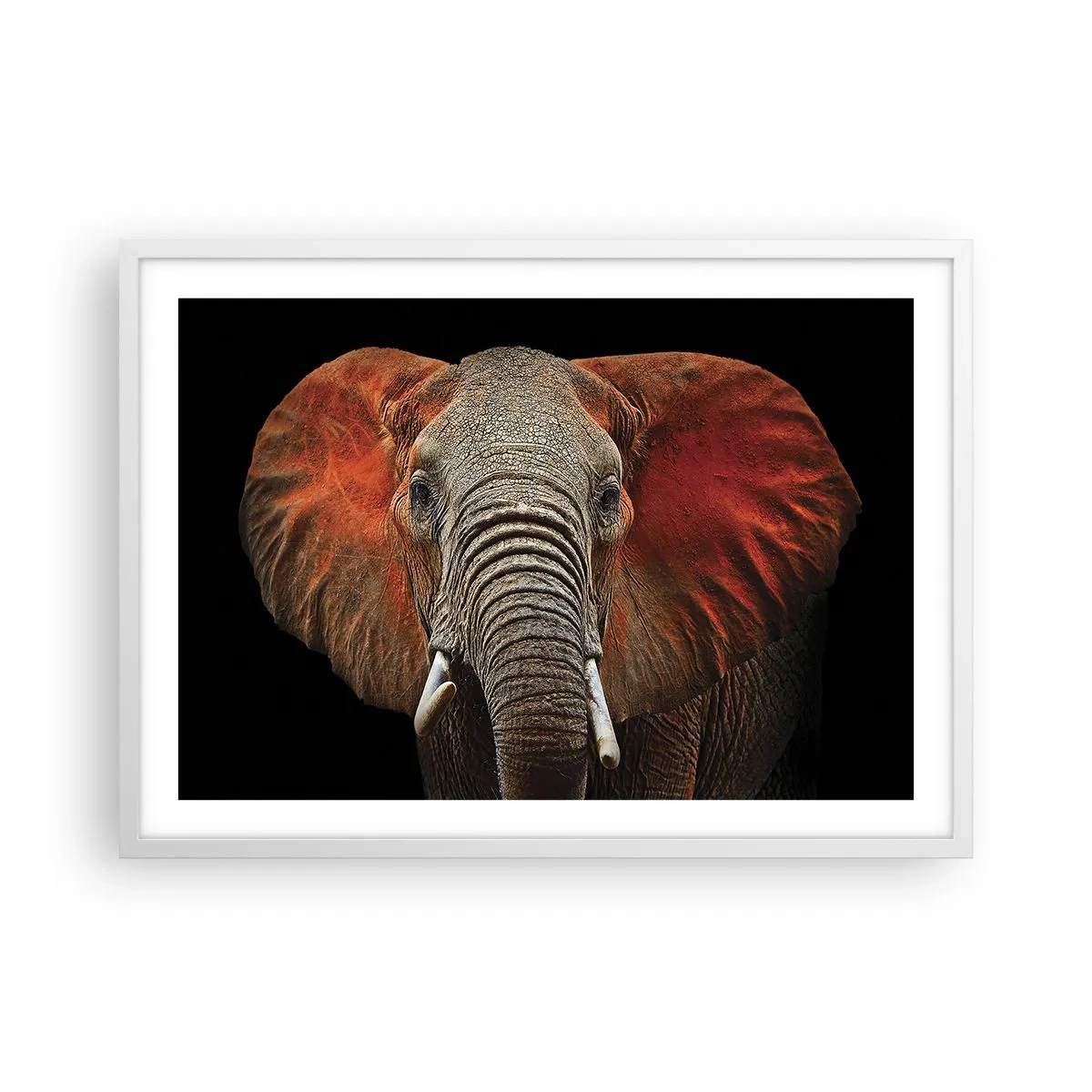 Poster in cornice bianca - Sono selvaggio e tu? - 70x50 cm